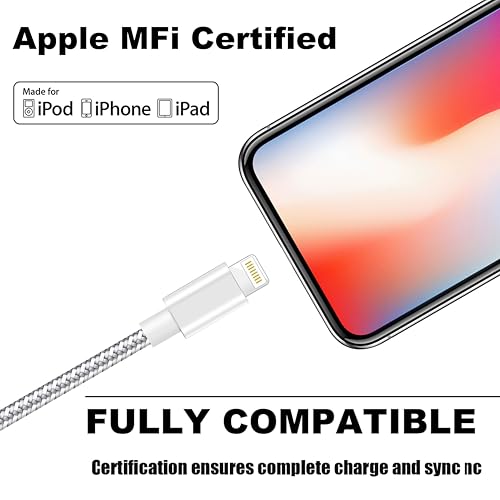IPhone Câble de chargeur [Apple MFi certifié] 3Pack 10FT Chargement rapide du câble de foudre longue USB Cord Compatible avec iPhone 14 13 12 11 Pro Max 11 XS Max XR X 8 7 6S,Argenterie