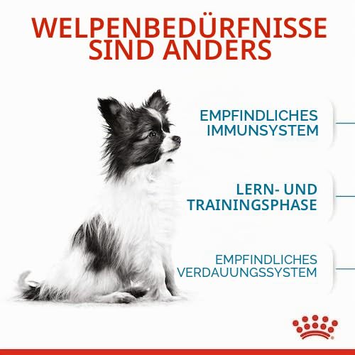 Royal Canin X-SMALL Puppy | Doppelpack | 2 x 500g | Trockenfutter für Welpen sehr Kleiner Hunderassen | Kann zur normalen Funktion des Immunsystems beitragen | Mit Omega-3