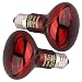 DERNORD - Lampada termica a infrarossi per rettili, 100 W, colore rosso, per tartarughe, camaleonte cucciolo, barbuto drago, pollame, vivario, terrario, confezione da 2