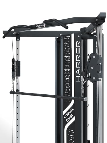 Harrier | Kabelzugstation | 1:2 & 1:1 Übersetzung | 2X 90kg Gewichtsblock | Edelstahl-Komponenten | Functional Trainer | Dualer Kabelzug – Bild 4