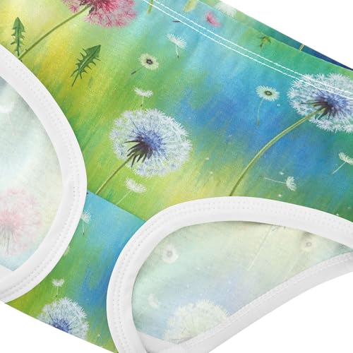 Flower Girls Underwear Toddler 2t Cotton Little Girl Panties Watercolor Floral Blue Flowers Underpants Briefs4