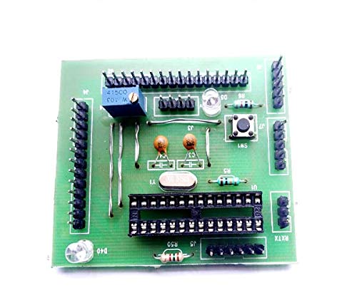 Rambutan Microcontroller Dev Board 1.2