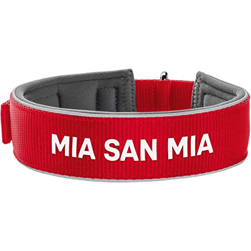 Hunter Neoprene Collar Reflect FC Bayern L (60), red