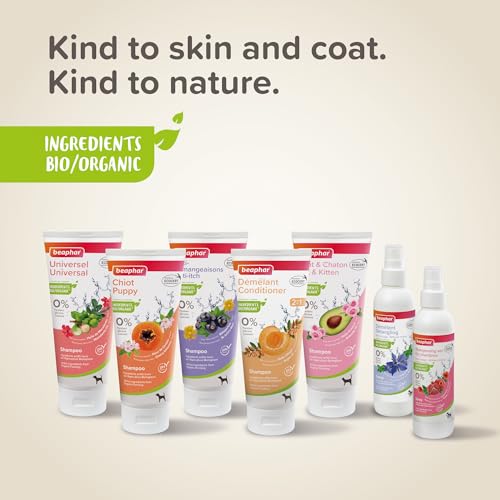 BEAPHAR ECOCERT 2-in-1 Entwirrungsshampoo für Hunde – enthält Aloe Vera, Arganöl und Bio-Aprikose – pH-neutral – ohne Parabene/Silikon/Farbstoffe und ohne Alkohol – 200 ml