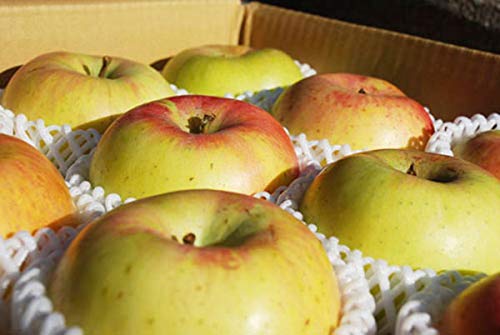 т́yp񂲁zܖTi10`16ʁj 肪NAGANO