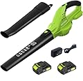 Leaf Blower Cordless with 2 Battery and Charger, 160MPH 180CFM High Speed Leaf Blower with 2 Tubes, 20V Electric Leaf Cleaner, Lightweight Handheld Small Blower for Patio, Garden, House, Depot, Green