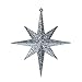 Vickerman Decorative-Hanging-Ornaments