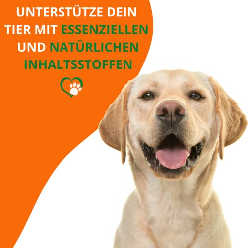 Mahu Natur Leinöl Für Hunde 1 Liter - Barföl Nativ Mit Omega 3 & 6 Fettsäuren - Leinöl Pferde, Hunde & Katzen Natürlicher Futterzusatz Zum Barfen - 1000ml Leinsamenöl In Recyclebarer Dose