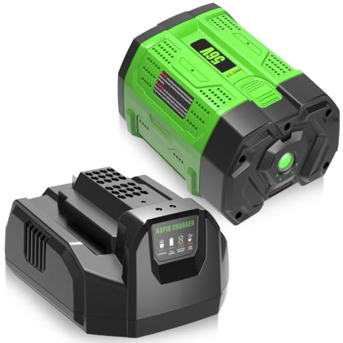 Image of 1Pack 12000mAh 56V Battery and CH2100 Rapid Charger Replacement for EGO Battery and Charger Combo, Compatible with EGO Battery 56Volt Cordless Tools