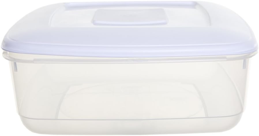 WhitefurzeMinimalist Square Food Box, 0.6L, 13 x 13 x 7 cm