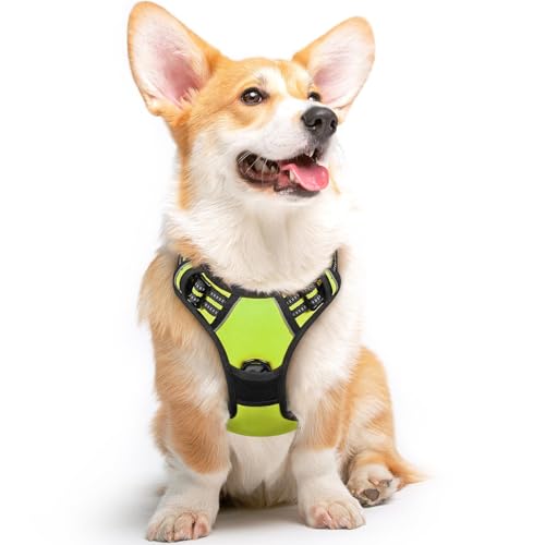 Eagloo Dog Harness No Pull, Walking Pet Harness with 2 Metal Rings and Handle Adjustable Reflective Breathable Oxford Soft Vest Easy Control Front Clip Harness for Small Medium Large Dogs(M,BLACK)