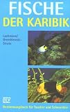 Fische der Karibik - Petra Lachmann, Otto Gremblewski-Strate 