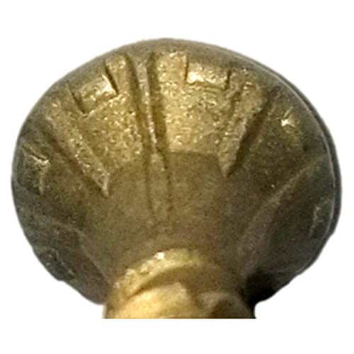 Jake Sales 8-34-COATED-WOOD-SCREWS-1 #8 X 3/4 Inch Bronze Star Exterior Coated Wood Screw Torx/Star Drive Head thumb #2