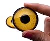 Golden Eagle Bird Glass Eyes Yellow Small 6mm to Large 78mm Jewelry Making Fowl Art Parts Taxidermy Sculpture Flatback Domed Cabochons (12mm) #5