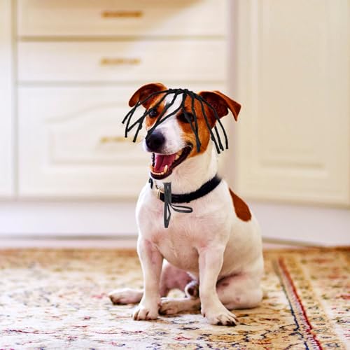 Peluca para perro y gato cosplay disfraz accesorio miniatura 6