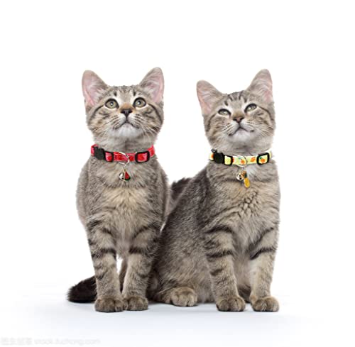 Superbuddy Cat Collars Breakaway With Bell - 4 Pack Cat Safety Collars For Boys & Girls - Safety Buckle Kitten Collar For Pet Supplies,Stuff,Accessories #TOP6