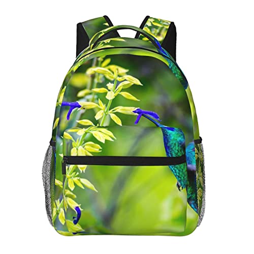 Sac à dos pour ordinateur portable colibri noir : protégez vos dossiers à l'université