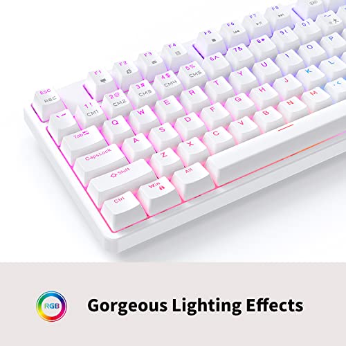 Ciy X77 Hot-Swappable Mechanical Keyboard/Rgb Gaming Keyboard/Usb C/Anti Ghosting/N-Key Rollover/Compact Layout 87 Key/Magnetic Upper Cover/For Mac Windows (White And Red Switch) #TOP3