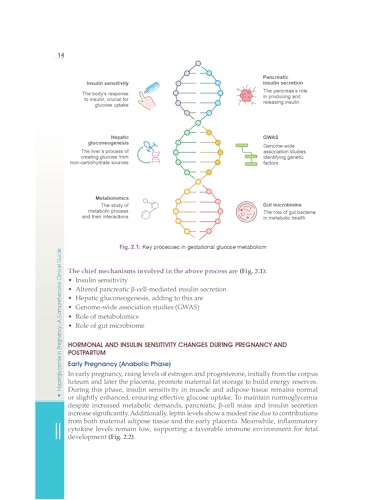 Image of Hyperglycemia in Pregnancy | A Comprehensive Clinical Guide (HB 2026)