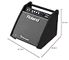Roland Pm-100 Personal Drum Monitor, 80 Watts of Power #2