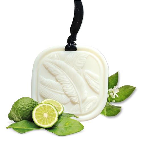 Festes Duftwachs-Sachet – Kleiderschrank Duft Bergamot & Cashmere | Lang anhaltender Lufterfrischer für Schrank, Schublade & Zuhause | Natürliches Rapswachs – 34g