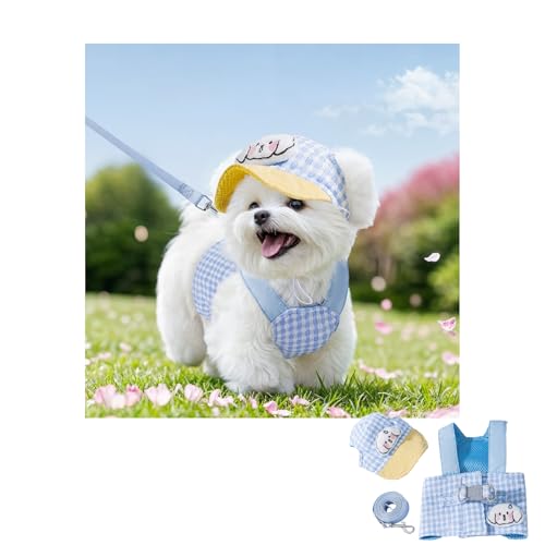 Ursprung  n[lX  ^ [hZbg Ȃ dh~ 킢  Ă~߃Lbvt Lpn[lX ʋC EȒP ߉\ y bVf 􂦂\ L ^E^Ή U o(Lbvt