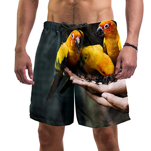 Short de bain pour homme motif perroquet multicolore avec slip filet intégré