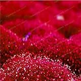 SEEDSOWN