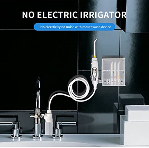 Flosser oral et irrigation eau contre la plaque dentaire - 2