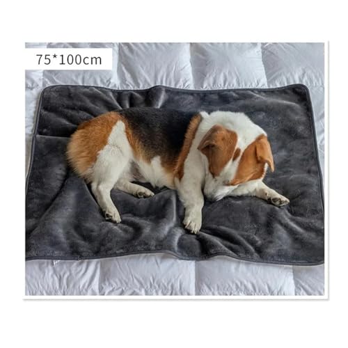 Tapis imperméable pour chat et chien idéal pour protéger le lit en automne