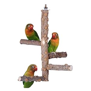 Vogelspeelgoed Pet Parrot Birds Standing Stick Houten Bird Climbing Ladder Thazen Cockatiel Parakeet Claw Malende…
