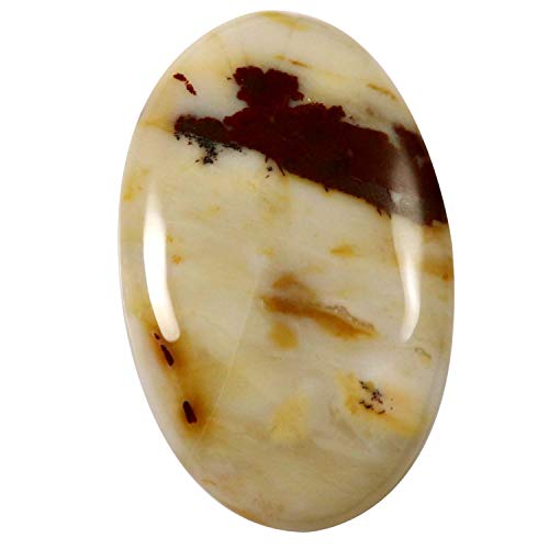 Agate à pois de collection pierre gemme précieuse naturelle taillée en cabochon 51,85 cts