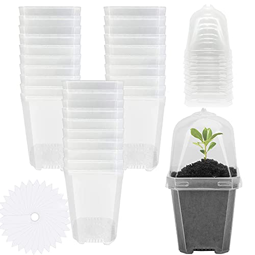 EBaokuup 30PCS Clear Plant Nursery Pots with Humidity Dome - 3' Durable Plastic Gardening Pot with Labels, Small Plant Container for Seedlings/Vegetables/Succulents/Cuttings