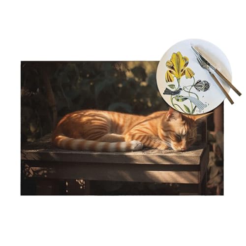 Set de table lavable en vinyle résistant à la chaleur | Décoration table chat orange - 7