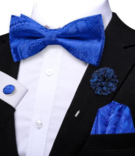 Image of Dubulle Mens Paisley Striped Bowtie Set Pre-tied Bowtie for Men and Pocket Square Set Wedding Business