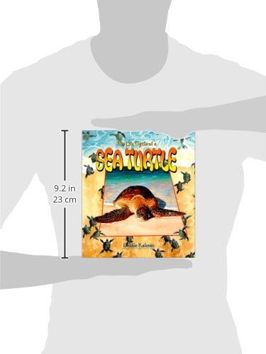 The Life Cycle of a Sea Turtle - Image 2