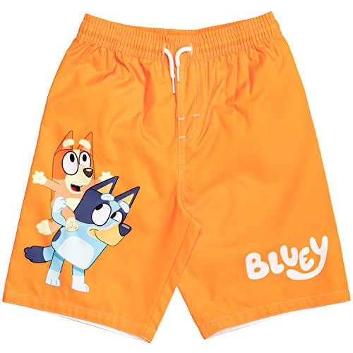 Bluey Bingo Little Boys Raglan Pullover Swim Rash Guard Swim Trunks Orange/White 5-6 #TOP3