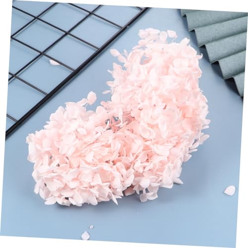 Pétalos de flores hortensia preservados 20g rosa miniatura 6