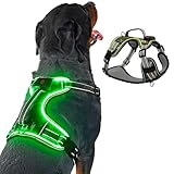 BiPawTi LED Light Up Dog Harness for Safety Night Walking, Glow in The Dark Soft Mesh Lighted Safety Vest USB Rechargeable - Illuminated No Pull Reflective Dog Harness for Medium Dogs (Green, M)