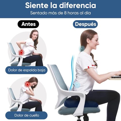 La Mejor Lista de Dona Ortopedica Walmart los preferidos por los clientes. 11 Dona Ortopedica Walmart marca VIOPY (2)