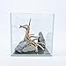 Lifegard Aquatics Seiryu Rock Stone and Spiderwood Set for Aquarium Decor.