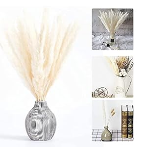 Sunshine smile gedroogde kleine pampas gras, Phragmites Communis decoratie, pampas gras natuur, pampas gras decoratie…