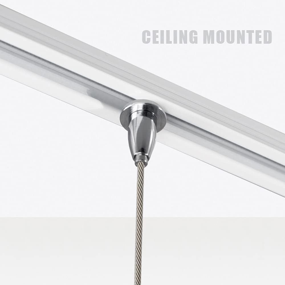 Art Picture Hanging Ceiling Mounted Complete Picture Frame Hangers Gallery (Two 59inch Long Rails 4 Hooks and 4 Cables,White) Mounted on The Ceiling