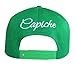 Capiche [99+ Variations] Green Snapback Hat for Men, Telekineses, Magic, Superpower, Anime Hats, Illuminati, All Seeing Eye Logo, Mind Control, Bright Green, Gaming Hat, Gift Him