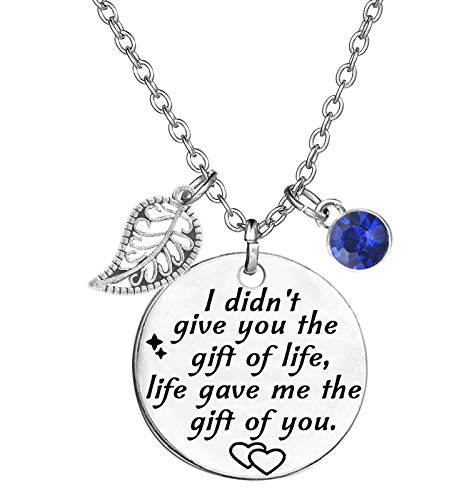 Stepdaughter Gift,Daughter In Law Gift,I Didn't Give You The Gift of Life, Life Gave Me The Gift of You Necklace Birthstone Pendant