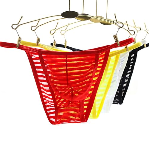 Mens Sexy Mesh Thong See Through G-Strings Underwear Low Rise Bikini Briefs4
