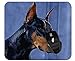 Produktbild Mauspad Nahaufnahme Dobermann Pinscher Tierhund Gesicht rutschfest Gummi Mousepad