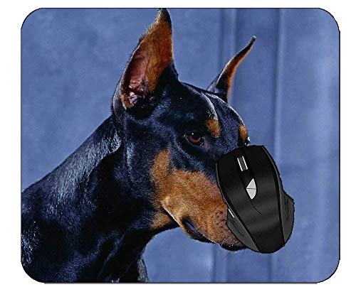 Preisvergleich Produktbild Mauspad Nahaufnahme Dobermann Pinscher Tierhund Gesicht rutschfest Gummi Mousepad