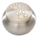 Pawsitively Cherished Unique Brass Cremation Urn for Ashes - Dogs, Cats and Medium-Sized Pets - Pewter/Gold - Medium