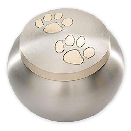 Pawsitively Cherished Unique Brass Cremation Urn for Ashes - Dogs, Cats and Medium-Sized Pets - Pewter/Gold - Medium
